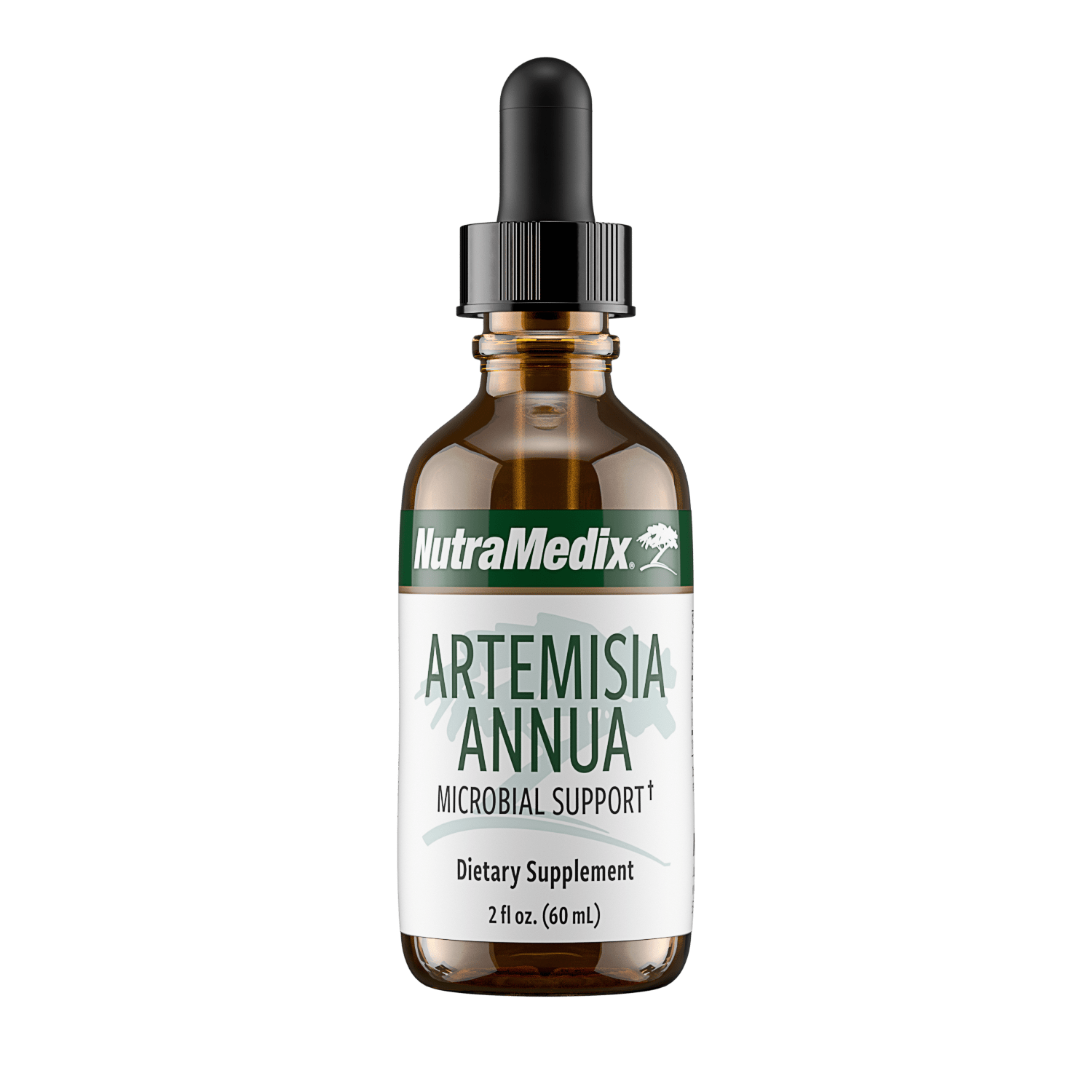 Artemisia Annua - 2oz SP