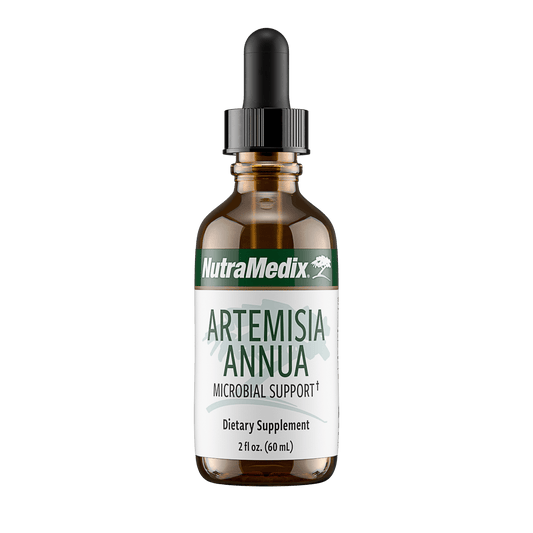 Artemisia Annua - 2oz SP