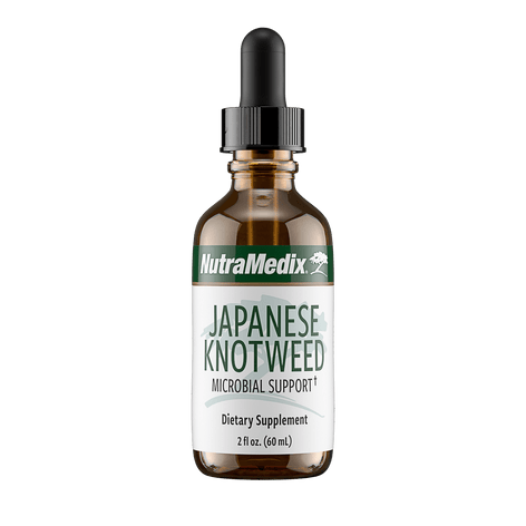 Japanese Knotweed HS Testing