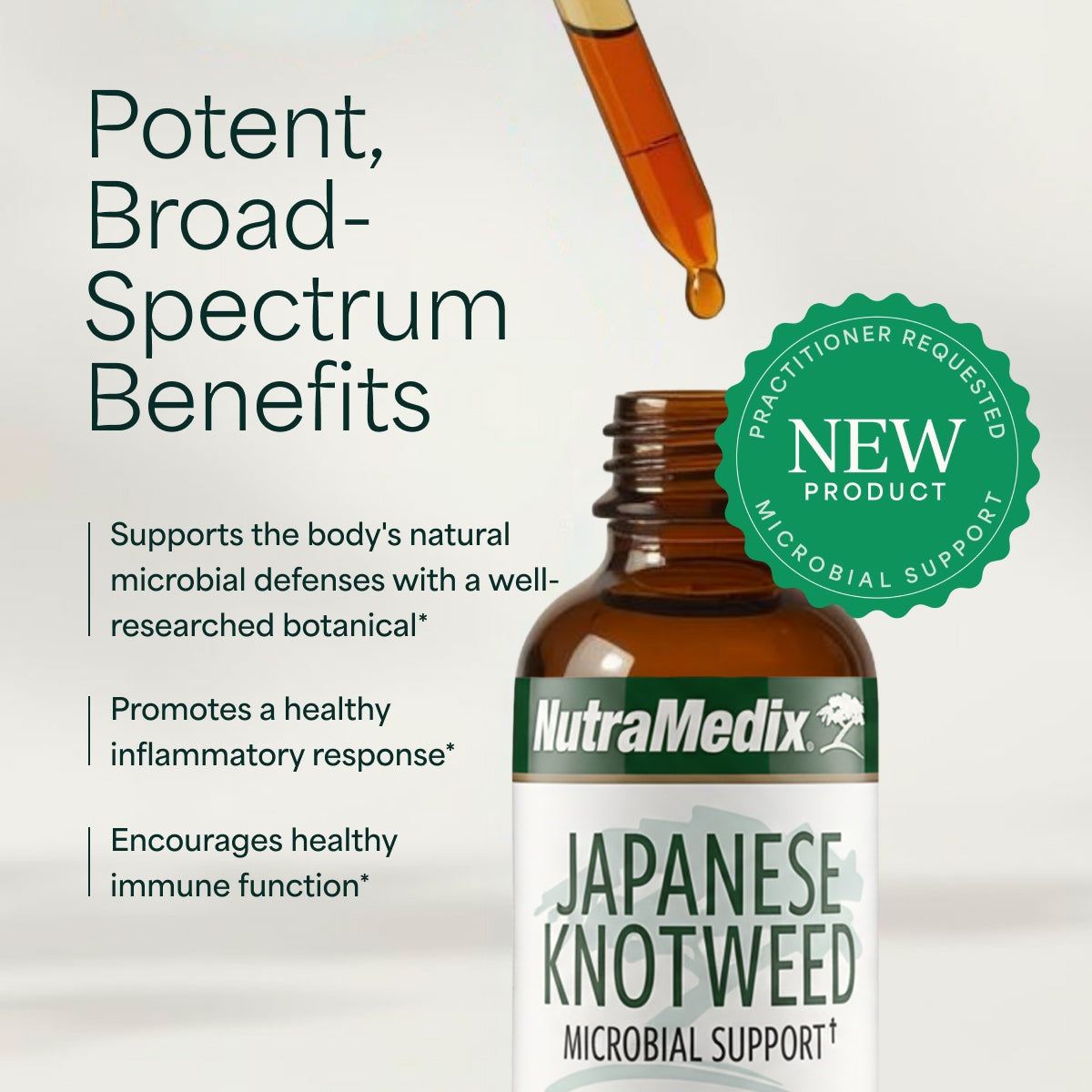 Japanese Knotweed - 2oz